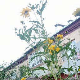 ���� �����, �������, 46 ��� - ��������� 7 ���� 2023