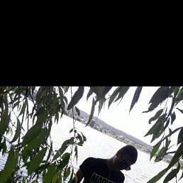 ������, ������, 29 ���