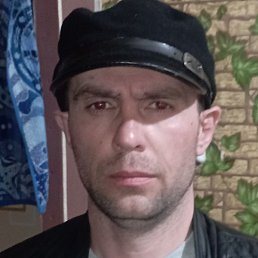 �����, ������, 41 ���