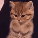 ���� �����, ������, 59 ��� - ��������� 18 ���� 2023 � ������ �������