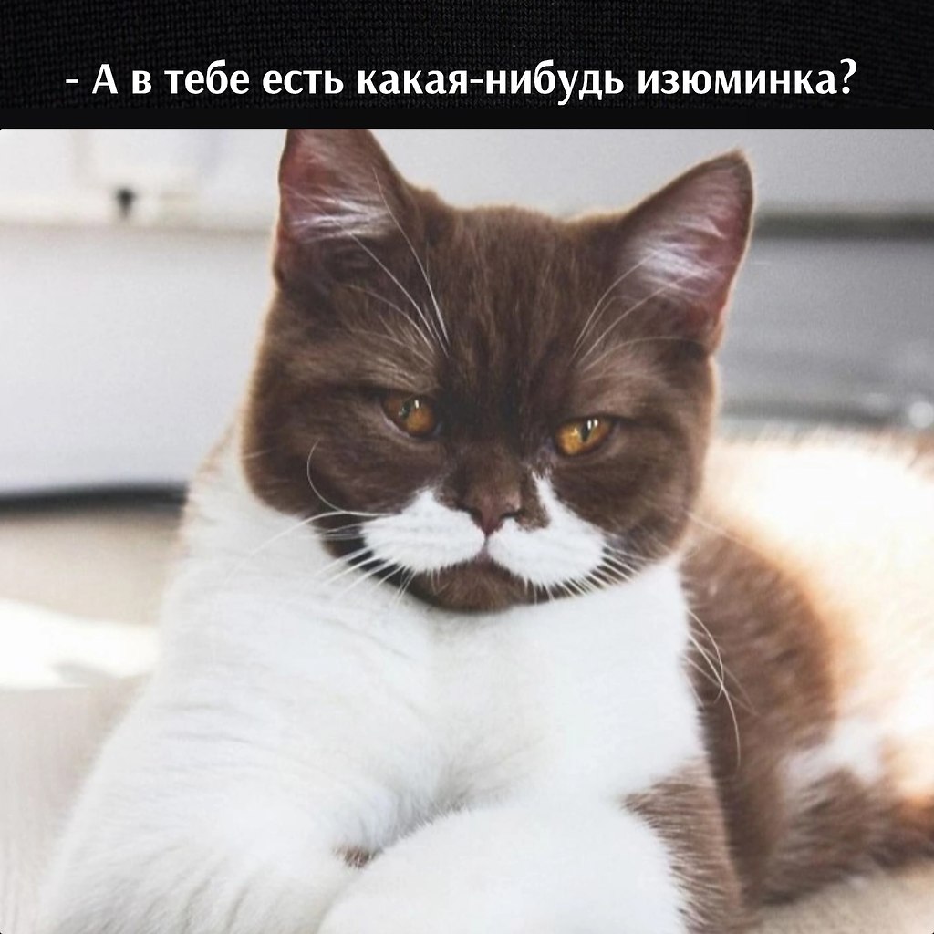       - 22  2023  12:55