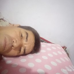 ����, �����, 37 ���