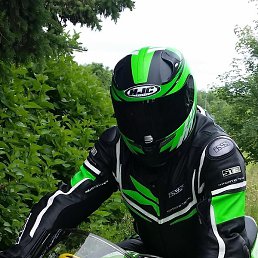 ������, �����������, 41 ���