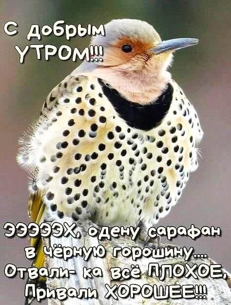  - 11  2023  10:41