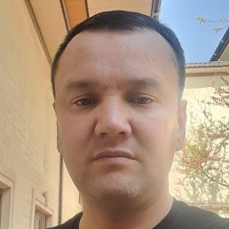 ����, �������, 40 ���