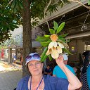 ���� �������, ����������, 61 ��� - ��������� 3 ���� 2023 � ������ ���� ����������