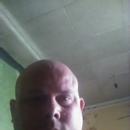 ����, ������, 43 ����