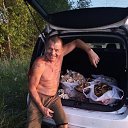 ���� ��������, �������, 62 ���� - ��������� 1 ���� 2023