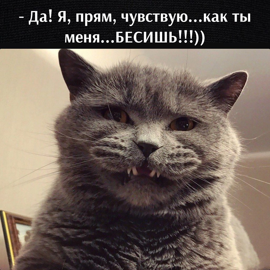       - 11  2023  17:04 - 3