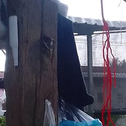 Gir, ��������, 38 ���