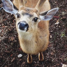 Fhn`v, ������, 23 ����