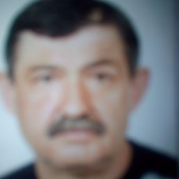 ���������, ������, 41 ���