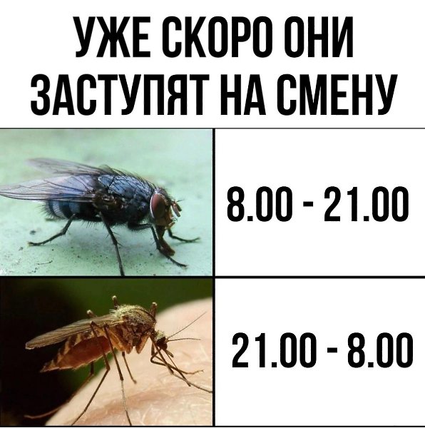 ~~~~~~~~~~~~~~~~