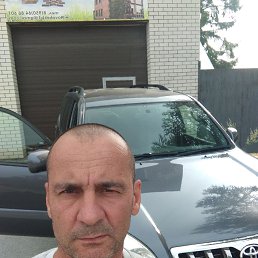 ���� ����, ������������, 55 ��� - ��������� 2 ������� 2023