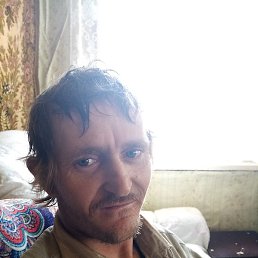 �����, �������, 37 ���