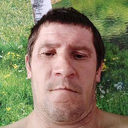 �������, ������, 41 ���