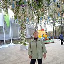 ���� ����, ������, 71 ��� - ��������� 20 ������ 2023