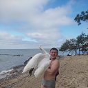 ���� ���, �����������, 29 ��� - ��������� 20 ������� 2023 � ������ ���� ����������