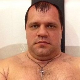 ���� �������� ������, �������, 84 ���� - ��������� 3 ����� 2023
