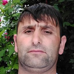 ����, ������, 39 ���