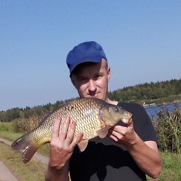 �������, �����, 33 ����