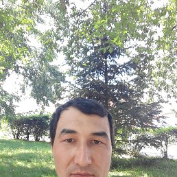 Гафур, 36, Свободный