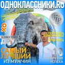 ���� �������, ����, 56 ��� - ��������� 10 ��� 2023