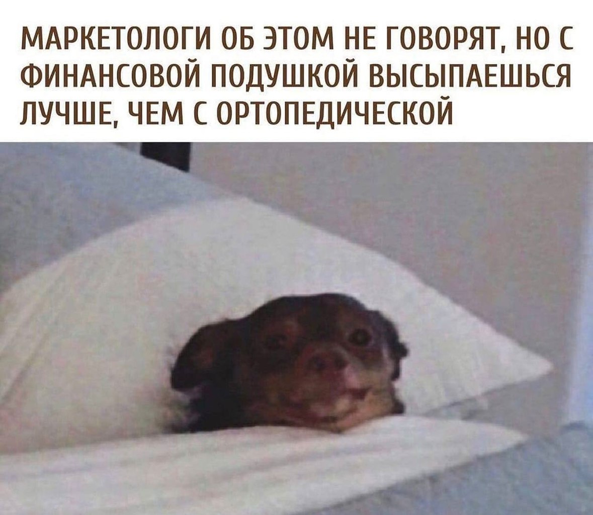    - 7  2023  08:28