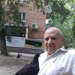 ���� ���������, ������-��-����, 84 ���� - ��������� 2 ����� 2023