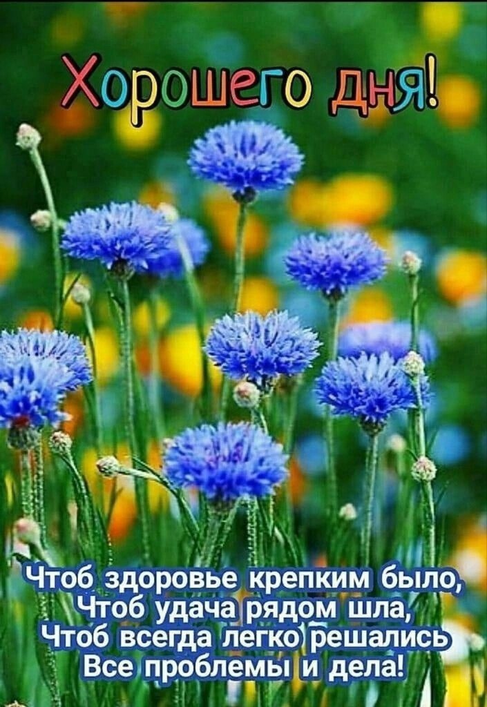   ! - 11  2023  07:53