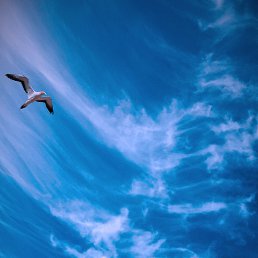 ���� ����, ���������, 41 ��� - ��������� 30 ���� 2023