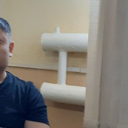 ������, �����, 39 ���