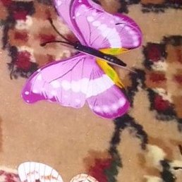 �����, ������, 31 ���