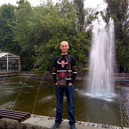 ��������, ������, 41 ���