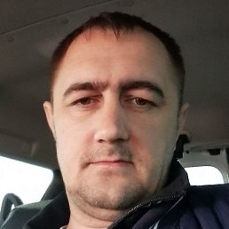 ������, ��������, 41 ���