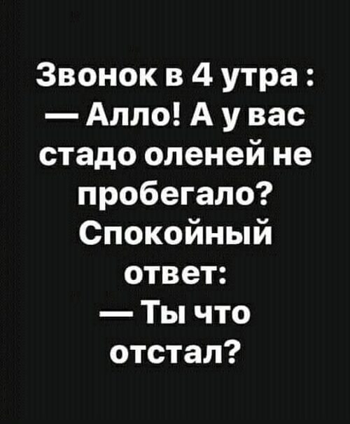   ! - 15  2023  18:42