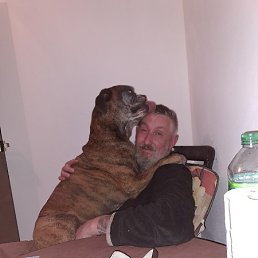 ������, ��������, 52 ����