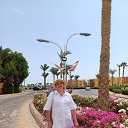 ���� ������, ������, 56 ��� - ��������� 16 ������� 2023 � ������ ���� ����������