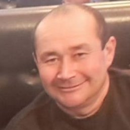 ����, �����-���������, 44 ����