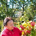 ���� ����, �����������, 68 ��� - ��������� 2 ������� 2023 � ������ ���� ����������