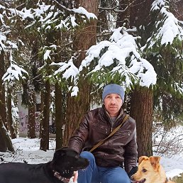 ���� ����, �����, 44 ���� - ��������� 26 ������� 2023