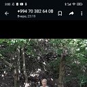 ���� �������, ������, 66 ��� - ��������� 19 ���� 2023 � ������ ���� ����������