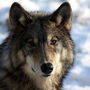 ���� ��������, �����������, 39 ��� - ��������� 18 ������� 2023 � ������ ������ ��������