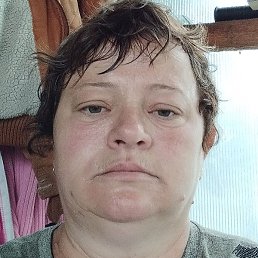 �����, ���������, 49 ���