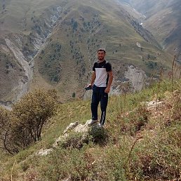 ��������, ������, 37 ���