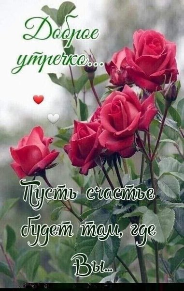 ���� ��������� - 17 ��� 2023 � 11:13