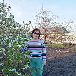 ���� ������, ���������, 73 ���� - ��������� 18 ��� 2023