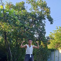 ������, �������, 41 ���