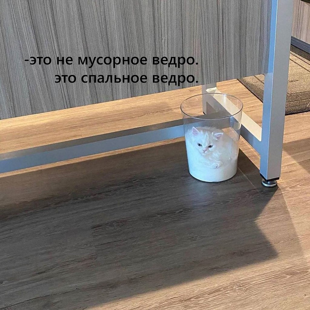    - 29  2023  11:29