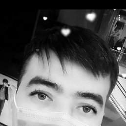 Timur, �����������, 40 ���